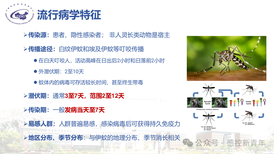 1754039190334087612.png fef37255b772404a2ce7fc5a66fc22f4.png